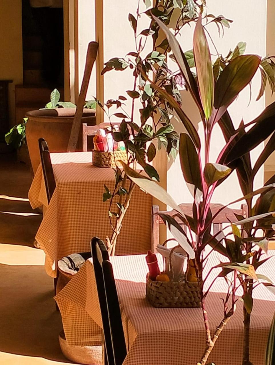 לאמו Msafini Hotel מראה חיצוני תמונה